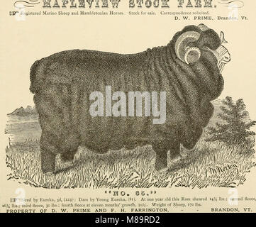 Dieses Verzeichnis und Geschäftsverzeichnis (1881-82) bietet eine umfassende Auflistung von Unternehmen, Dienstleistungen und geografischen Details für Rutland County, Vermont. Stockfoto