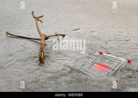 Ast und Warenkorb in gefrorenem Wasser, Neue Donau Wien Österreich Stockfoto