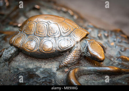 Schildkröte aus Bronze, Detail von einem Denkmal in Florenz Italien Stockfoto