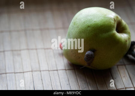 Schnecke sitzt auf grüne Birne und Baumstamm und kriecht, Brokkoli, Holz Bambus, Hintergrund, Nahaufnahme Tier Hintergrund. Stockfoto