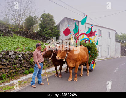 Cortejo do Espirito Santo, Heiliger Geist fest Prozession, Sao Jorge Island, Azoren, Portugal Stockfoto