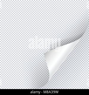 Seite Vektor curl Stock Vektor