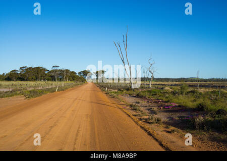 Gerade die unbefestigte Straße durch ländliche Landschaft Stockfoto