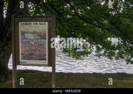 Titisee ist ein See im südlichen Schwarzwald in Baden-Württemberg, Grmany. Es umfasst eine Fläche von 1,3 km2 (320 qm) und ist ein Durchschnitt von 20 m (66 ft Stockfoto