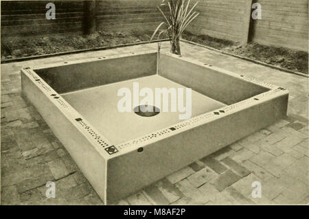 Goldfisch Sorten und tropische Aquarium Fische; eine komplette Anleitung zum Aquarien und verwandte Themen (1917) (14597766770) Stockfoto