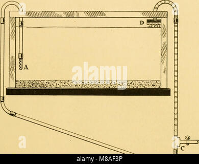 Goldfisch Sorten und tropische Aquarium Fische; eine komplette Anleitung zum Aquarien und verwandte Themen (1917) (14597838948) Stockfoto