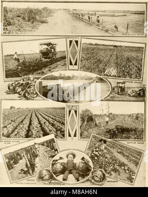 Die 1918 erschienene Publikation „Great San Antonio, the City of Destiny and of Your Destination“ beleuchtet die Geschichte, das Wachstum und die Kultur von San Antonio, Texas, und zeigt seine Entwicklung und Bedeutung in der amerikanischen Geschichte. Stockfoto