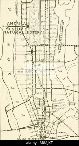 Leitfaden für die Natur Schätze von New York City; American Museum of Natural History, New York Aquarium, New York zoölogicl Park und Botanischer Garten, Brooklyn Museum, Botanischer Garten und Kinder (14780438552) Stockfoto