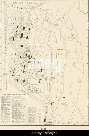 Leitfaden für die Natur Schätze von New York City; American Museum of Natural History, New York Aquarium, New York zoölogicl Park und Botanischer Garten, Brooklyn Museum, Botanischer Garten und Kinder (14780522492) Stockfoto