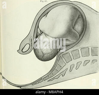 Handbuch der Physiologie des Menschen (1909) (14781747482) Stockfoto