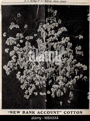 Hastings" Saatgut - Frühjahr 1909 Katalog (1909) (14592043427) Stockfoto