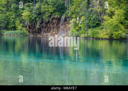 Plitvicer Seen an Natioanl Park Kroatien. Das Wasser ist ein intensives Blau Farbe. Stockfoto