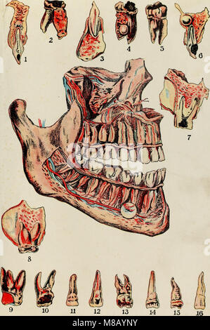 Gesundheit wissen - eine sorgfältige und präzise Kenntnisse der Prävention, Ursachen und Behandlungen von Krankheiten, vereinfachte für die Verwendung zu Hause (1920) (14595153579) Stockfoto