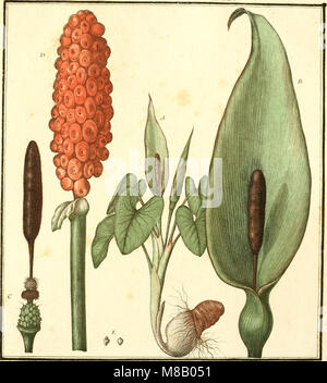 Herbier de la France; Oe, Collection complette des Plantes indigenes de ce Royaume; avec leurs proprits, et usages De leurs Tiermedizin (1787) (14781690544) Stockfoto