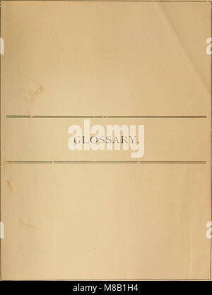 Dieses botanische Notizbuch von 1895 enthält Beobachtungen und Studien über Pflanzenarten, ihre Eigenschaften und Klassifikationen. Es dient als pädagogisches Protokoll über das Studium der Botanik, mit detaillierten Skizzen und Notizen über das Pflanzenleben, was wertvolle Einblicke in die frühe botanische Ausbildung und den Bereich der Pflanzenwissenschaften bietet. Stockfoto