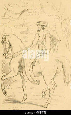 Hinweise zu Pferd - Wächter - eine komplette Anleitung für Reiter und Kapitel auf Eseln und Ponys (1859) (14581096838) Stockfoto