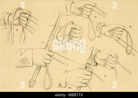 Hinweise zu Pferd - Wächter - eine komplette Anleitung für Reiter und Kapitel auf Eseln und Ponys (1859) (14765379274) Stockfoto