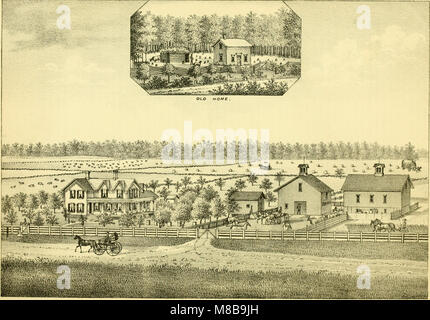 Geschichte Das Franklin und Clinton County, Michigan (1880) (14772802382) Stockfoto