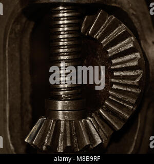 Alte Gänge (monochrom) Stockfoto