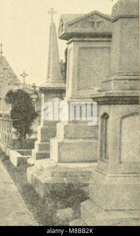 Daniel O'Connell und die Wiederbelebung des nationalen Lebens in Irland (1900) (14591055619) Stockfoto