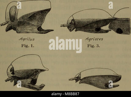 Das 1907 erschienene Werk „Danmarks Fauna“ ist ein illustriertes Handbuch über die Fauna Dänemarks. Sie bietet einen detaillierten Überblick über die in Dänemark vorkommenden Tierarten, die sowohl häufige als auch seltene Arten abdecken. Stockfoto