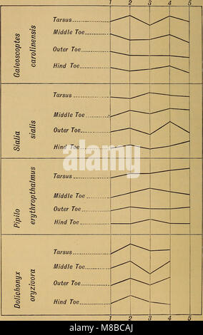 Darwinismus; eine Ausstellung der Theorie der natürlichen Selektion, mit einigen Ihrer Anwendungen (1897) (20828427122) Stockfoto