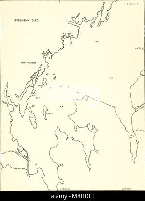 Davids Insel Phase I - Mit einem kurzfristigen ökologische Umfrage der westlichen Long Island Sound (1972) (20848333271) Stockfoto