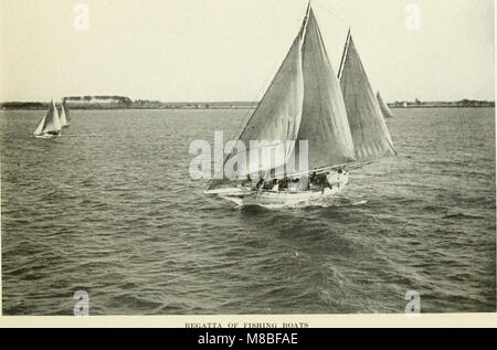 Delaware und dem östlichen Ufer; einige Aspekte einer Halbinsel angenehm und gut Geliebte (1922) (14782807855) Stockfoto