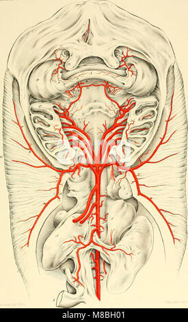 Denkschriften der Kaiserlichen Akademie, Christian - Mathematisch-Naturwissenschaftliche Classe (1858) (20665287989) Stockfoto