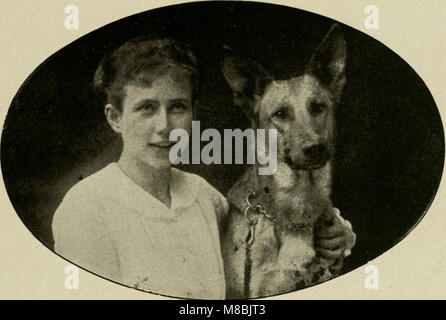 Der Deutsche Schäferhund in Wort und Bild (1921) (20862153645) Stockfoto