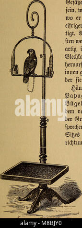 Der Graupapagei. Seine Naturgeschichte (1896) (20869449881) Stockfoto