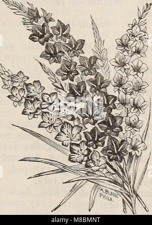 Beschreibender Katalog der hochwertigen Samen für die Farm und Garten (1894) (20690834759)