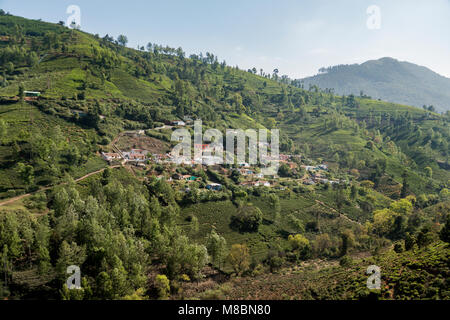 Landwirtschaftliche Flächen in Nilgiris in der Nähe von Ooty, Tamil Nadu, Indien Stockfoto