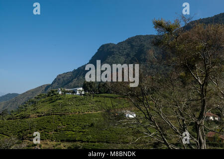 Landwirtschaftliche Flächen in Nilgiris in der Nähe von Ooty, Tamil Nadu, Indien Stockfoto