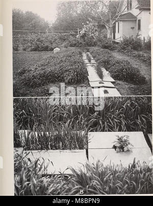 Entwicklung und Aktivitäten der Wurzeln der Pflanzen; eine Studie in der Ökologie (1922) (20268095554) Stockfoto