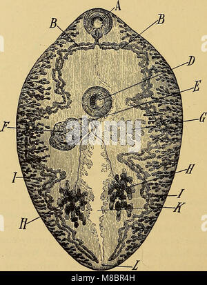 Diagnostische Methoden, chemische, bakteriologische und mikroskopischen - Ein Lehrbuch für Studenten und Praktiker (1909) (14597365977) Stockfoto