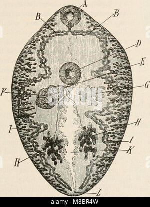 Diagnostische Methoden, chemische, bakteriologische und mikroskopischen, ein Lehrbuch für Studenten und Praktiker (1914) (14595583028) Stockfoto