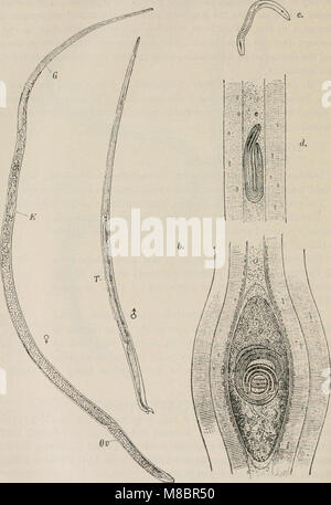 Diagnostische Methoden, chemische, bakteriologische und mikroskopischen, ein Lehrbuch für Studenten und Praktiker (1914) (14759248896) Stockfoto