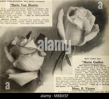 Der Dingee Guide to Rose Culture, veröffentlicht 1913, ist ein praktisches Handbuch für den Anbau von Rosen. Sie bietet fachkundige Beratung zu Rosensorten, Pflanzen, Pflege und Pflege. Der Reiseleiter betont die richtigen Techniken, um ein gesundes Wachstum und eine gesunde Blüte zu gewährleisten, was ihn zu einer hilfreichen Ressource für Gärtner macht, die sich für den Rosenanbau interessieren. Stockfoto