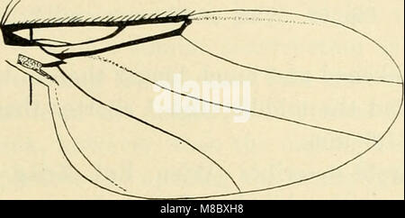 Diptera Danica - Gattungen und Arten von Fliegen bisher in Dänemark (1907) (20965732421) Stockfoto