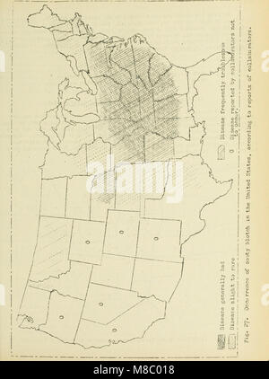 Krankheiten von Obst ernten in den Vereinigten Staaten im Jahr 1919 (1920) (20780415008) Stockfoto