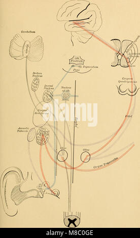 Das 1900 erschienene Textbuch über Ohrerkrankungen bietet umfassende Informationen über Ohrenerkrankungen. Es bietet detaillierte Beschreibungen von Symptomen, Behandlungen und Diagnosen, die für Medizinstudenten und Ärzte auf dem Gebiet der Hals-Nasen-Ohren-Heilkunde bestimmt sind. Stockfoto