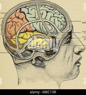 Erkrankungen des Nervensystems - für den Arzt für Allgemeinmedizin und Student (1913) (14579653779) Stockfoto