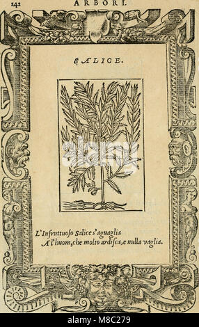 Diverse imprese Platz für ein diuerse moralità-con versi Che ich Loro significati dichiarano - tratte da Gli emblemi dell'Alciato (1549) (14750792375) Stockfoto