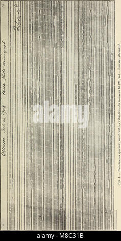 Das Dokument *Documents de la Session de la PUISSANCE du Canada* (1909) enthält offizielle Aufzeichnungen und Berichte von den Tagungen der kanadischen governmentâ, die sich mit politischen, sozialen und wirtschaftlichen Fragen der damaligen Zeit befassen. Stockfoto