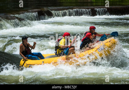 Gönner in Whitewater Rafting auf den Stromschnellen der Ocoee River im Cherokee National Forest, TN teilhaben. Stockfoto