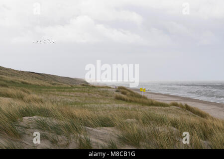 Strand en duinen Zandvoort met Hollandse wolkenlucht Stockfoto