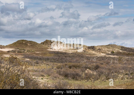 Strand en duinen Zandvoort met Hollandse wolkenlucht Stockfoto