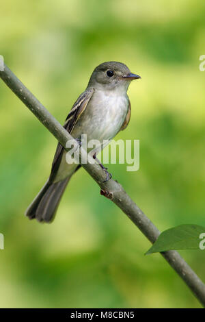 Nach Gipfel Co., OH Mai 2007 Stockfoto