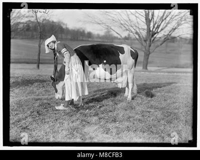 ECKLES, Virginia. IN DER NIEDERLÄNDISCHEN MILCHINDUSTRIE - DIENSTMÄDCHEN, MIT KUH LCCN 2016869766 Stockfoto